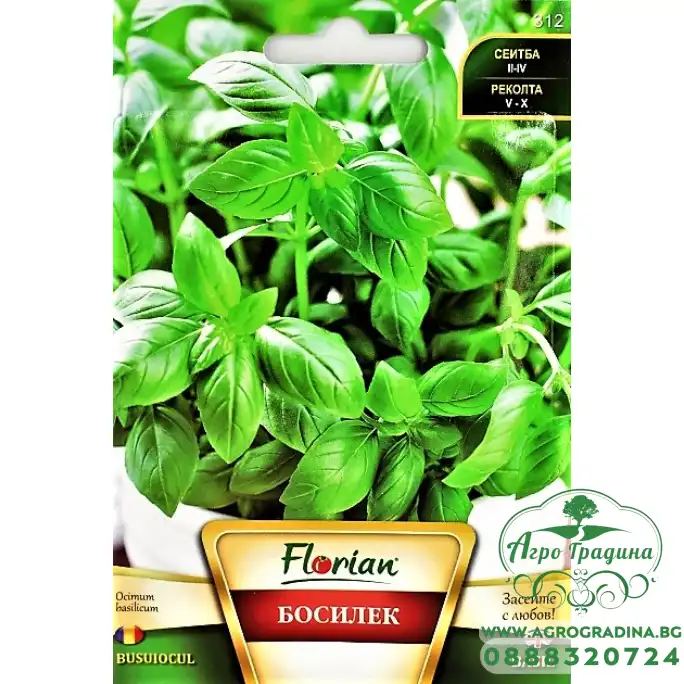 Босилек Ocimum basilicum