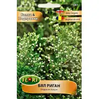 Бял риган Origanum hirtum