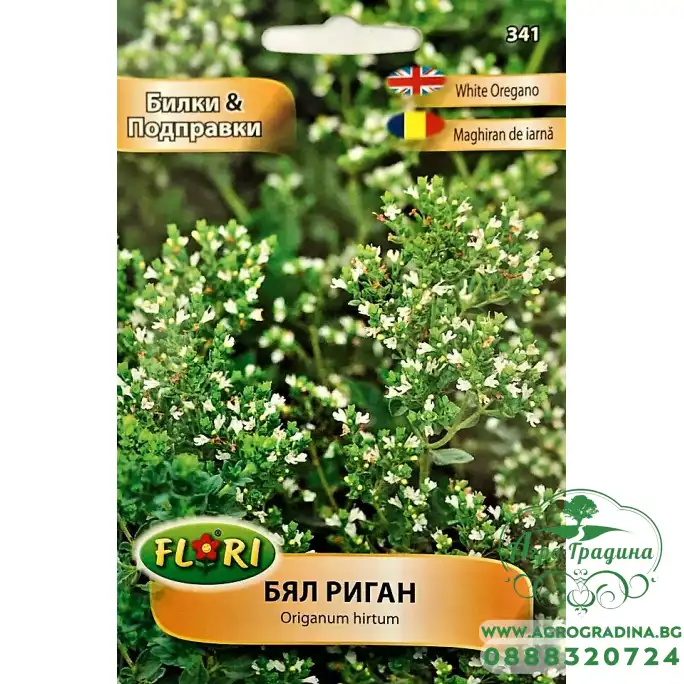 Бял риган Origanum hirtum