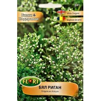 Бял риган Origanum hirtum