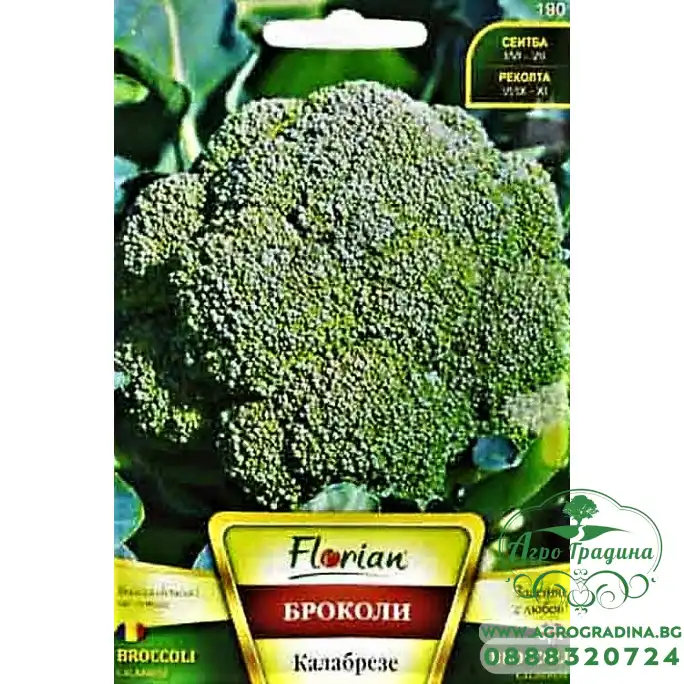 Броколи Калабрезе