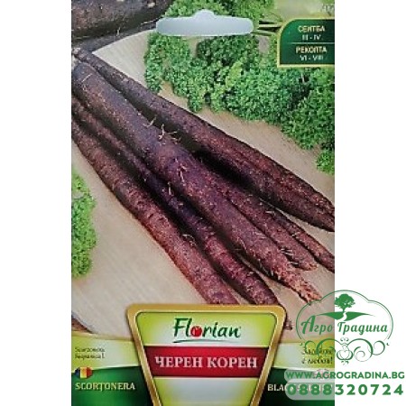 Черен корен