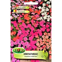 Импатиенс (Циганче)