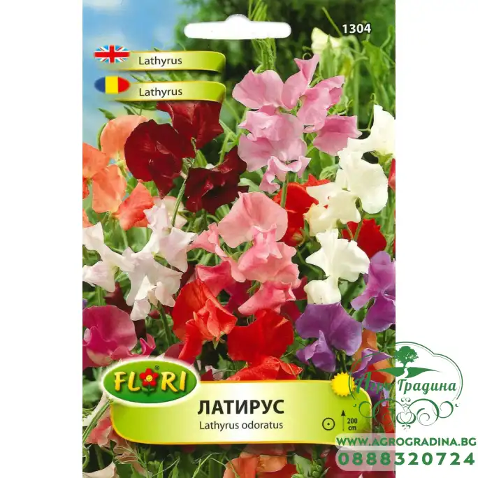 Декоративен грах, Латирус