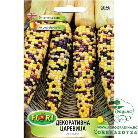 Декоративна царевица