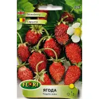 Декоративни Ягода Fragaria × ananassa
