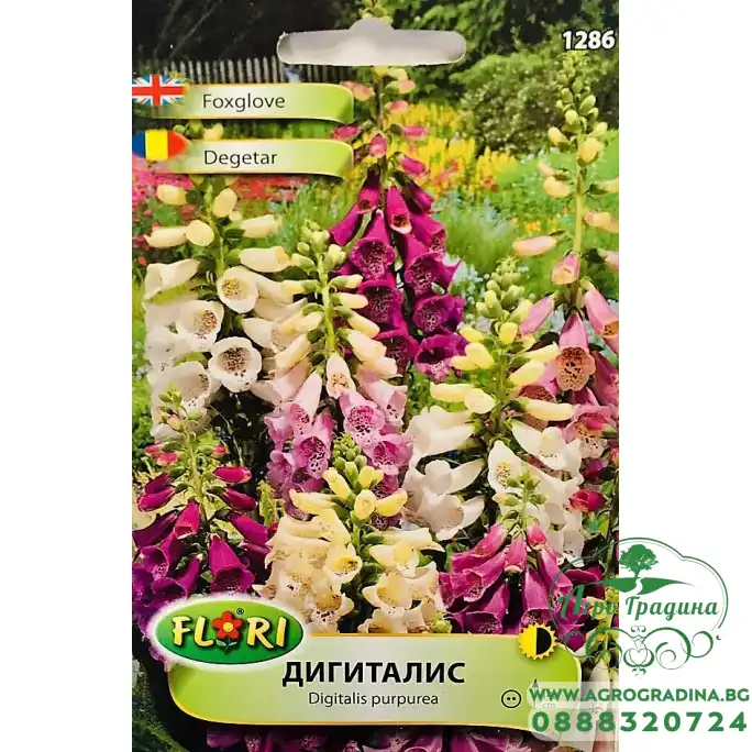 Дигиталис (Напръстник) Микс Digitalis purpurea Дигиталис (Напръстник) Микс Digitalis purpurea