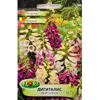 Дигиталис (Напръстник) Микс Digitalis purpurea