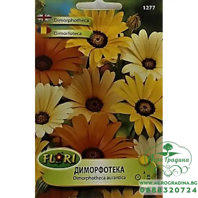 Диморфотека микс