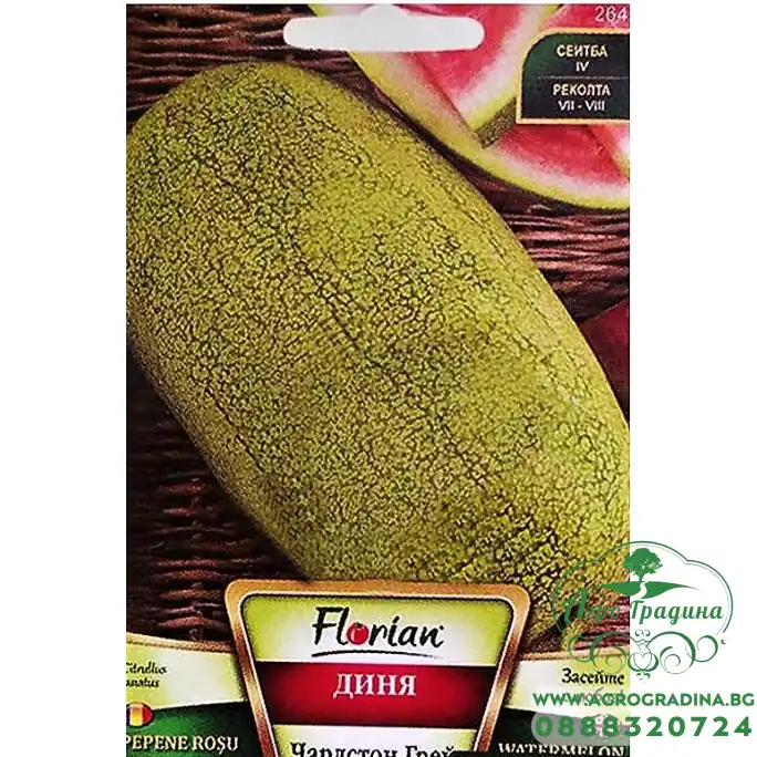 Диня Чарлстон Грей