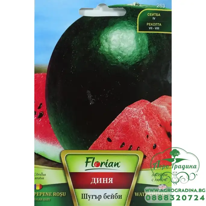 Диня Шугър Бейби