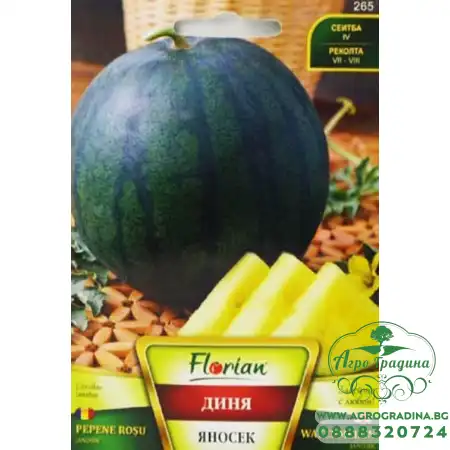 Диня Яносек F1
