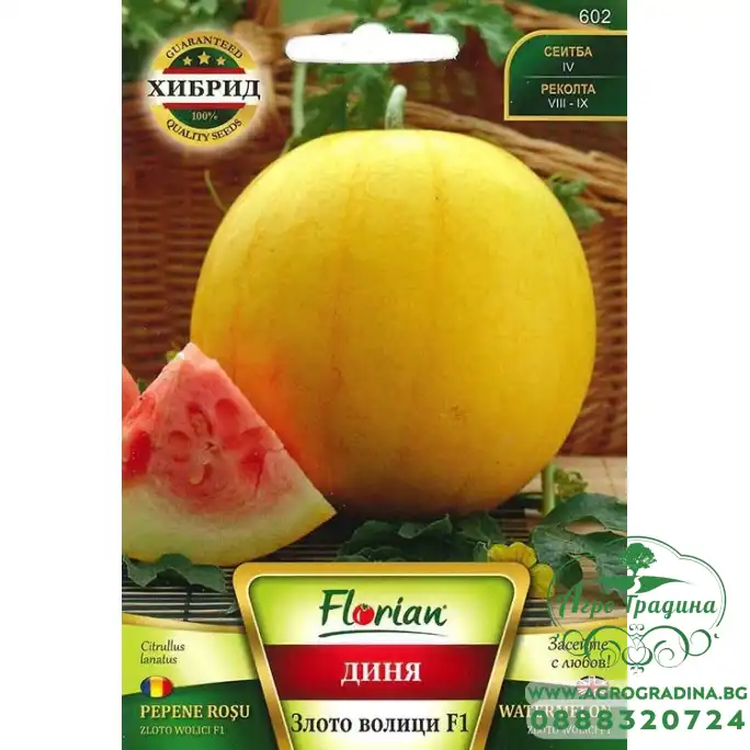 Диня Злото Волици F1