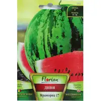 Диня Мраморна