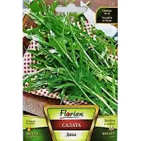 Рукола дива