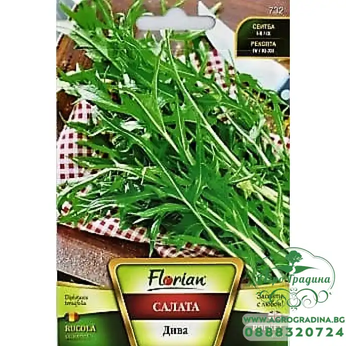 Рукола дива