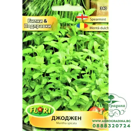 Джоджен Mentha spicata