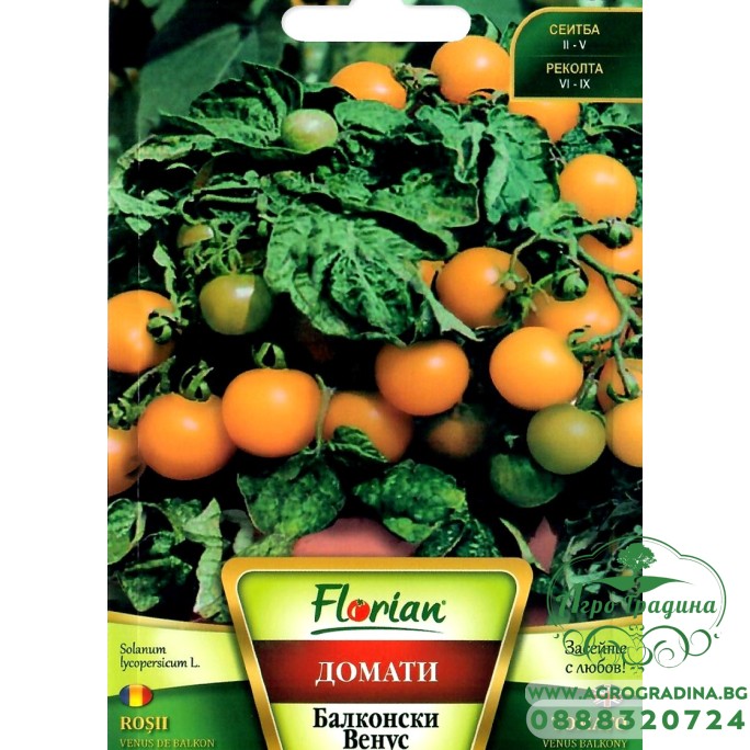 Домат Балконски Венус