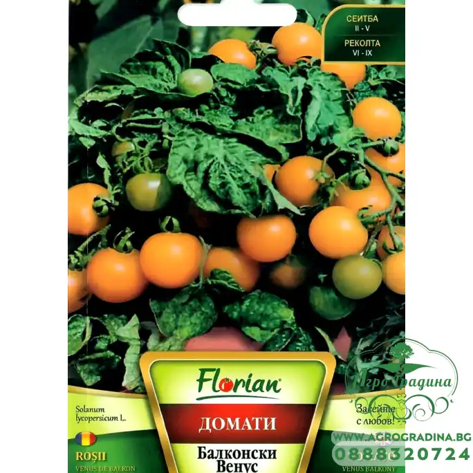 Домат Балконски Венус Домат Балконски Венус