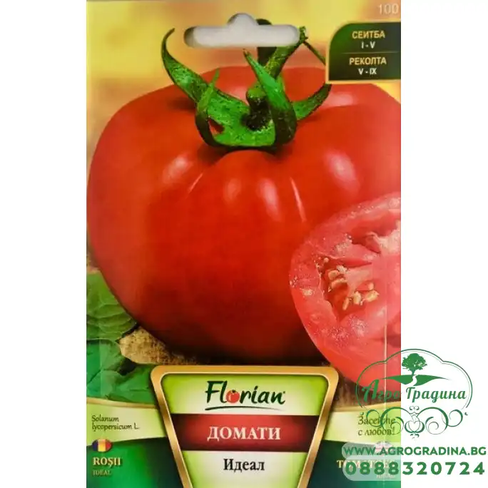 Домат Идеал Домат Идеал