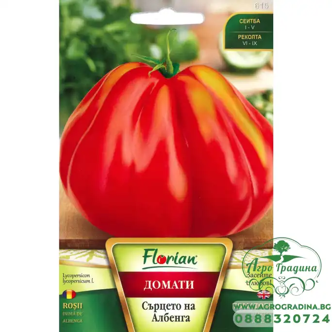 Домат Сърцетo на Албенга Домат Сърцетo на Албенга