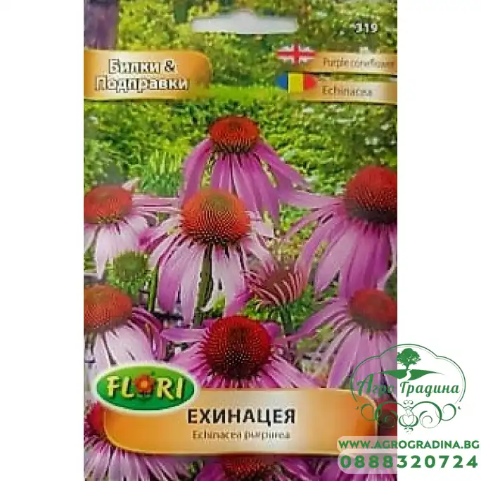 Ехинацея Ehinacea purpurea