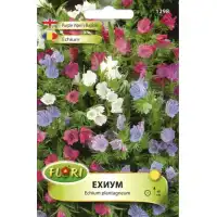 Ехиум (Усойниче) Echium plantagineum