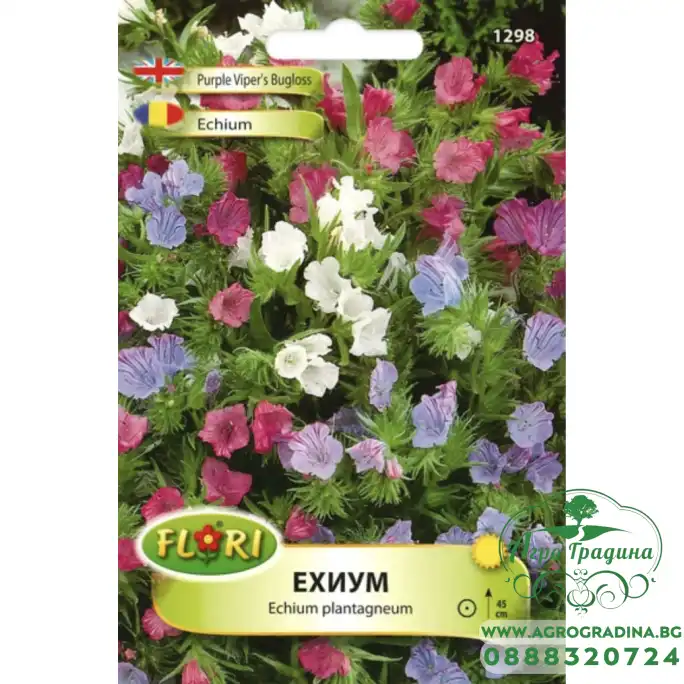 Ехиум (Усойниче) Echium plantagineum