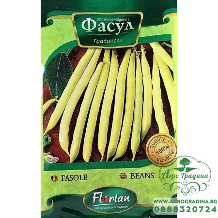 Фасул Берголд  (жълт, цилиндричен, нисък)