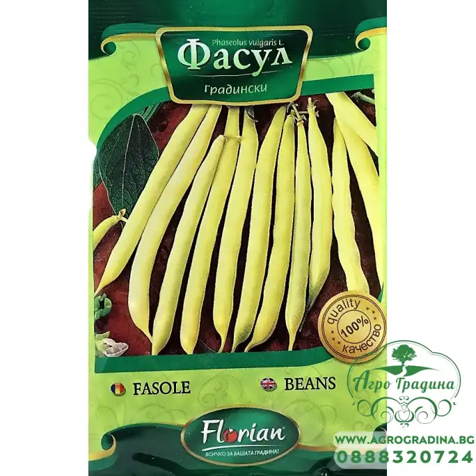 Фасул Берголд (жълт, цилиндричен, нисък)