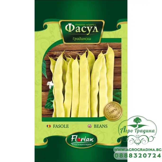 Фасул Никос (Пладор) – жълт, плосък, нисък