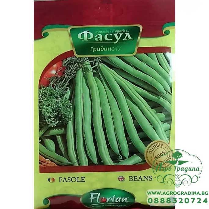 Фасул Валя (зелен, цилиндричен, нисък)