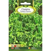 Салата Гранд Рапид