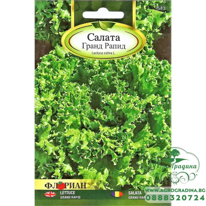 Салата Гранд Рапид