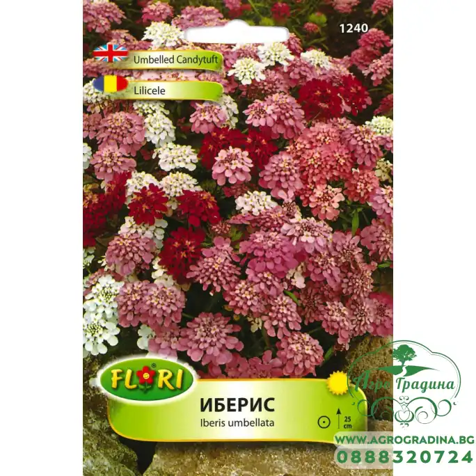 Иберис микс Iberis umbellata