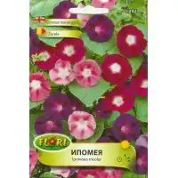 Ипомея Смес