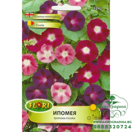 Ипомея Смес