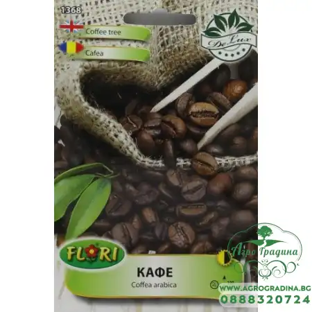 Семена от Кафе арабика