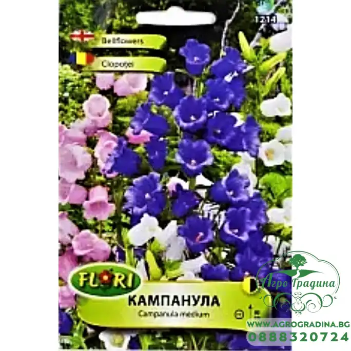 Кампанула (Камбанка)