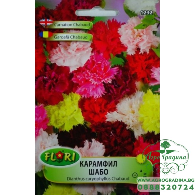 Карамфил шабо