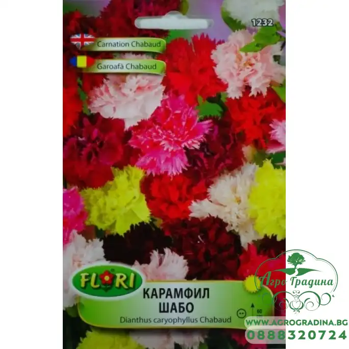 Карамфил шабо