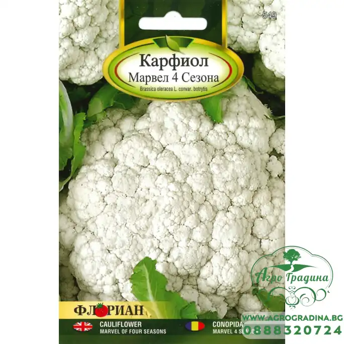 Карфиол Марвел 4 сезона