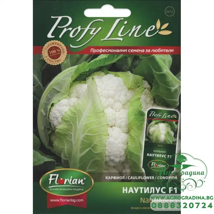 Карфиол Наутилус F1