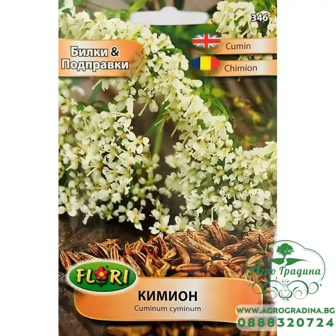 Кимион - Cuminum cyminum