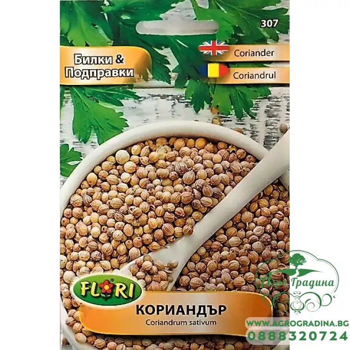 Кориандър Coriandrum sativum