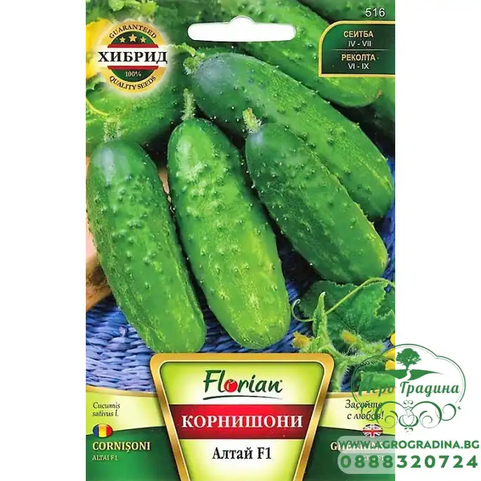 Корнишони Алтай F1 Корнишони Алтай F1