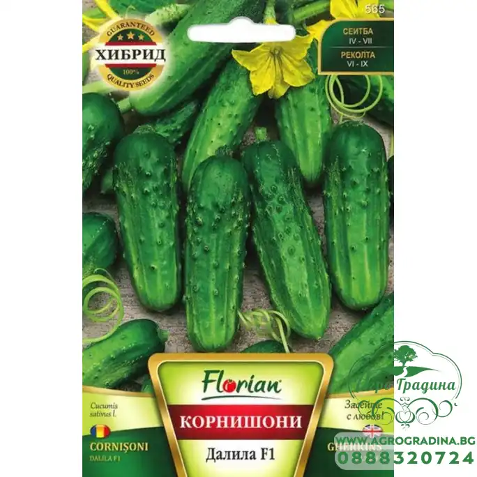 Корнишони Далила F1 Корнишони Далила F1