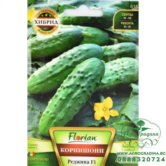 Корнишони Реджина F1 Корнишони Реджина F1