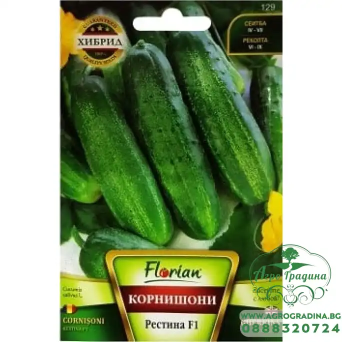 Корнишони Рестина F1 Корнишони Рестина F1