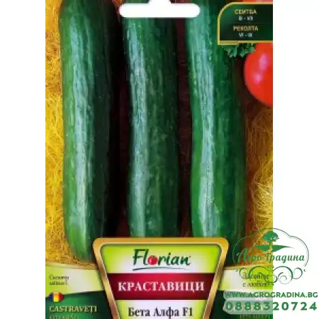 Краставици Бета Алфа F1